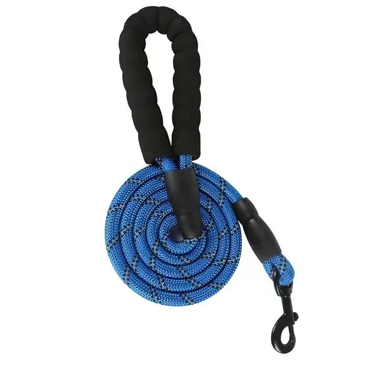 SureStep Leash – Safe Walks