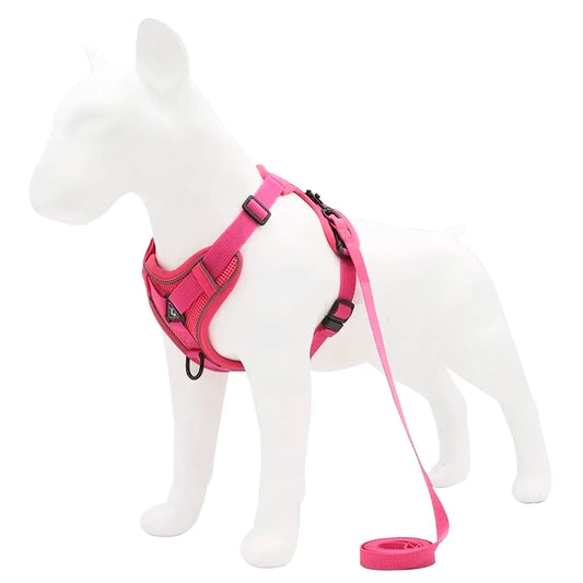 TrustFit Harness and Leash: No-Pull & Confort