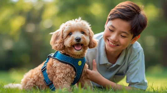 🐶How to Calculate Your Dog’s Age