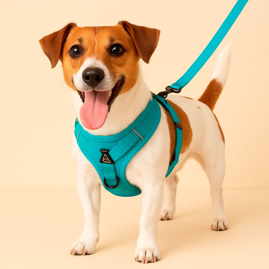 TrustFit Harness and Leash: No-Pull & Confort