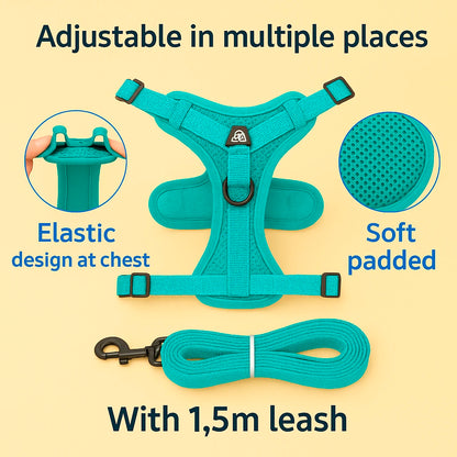 TrustFit Harness and Leash: No-Pull & Confort