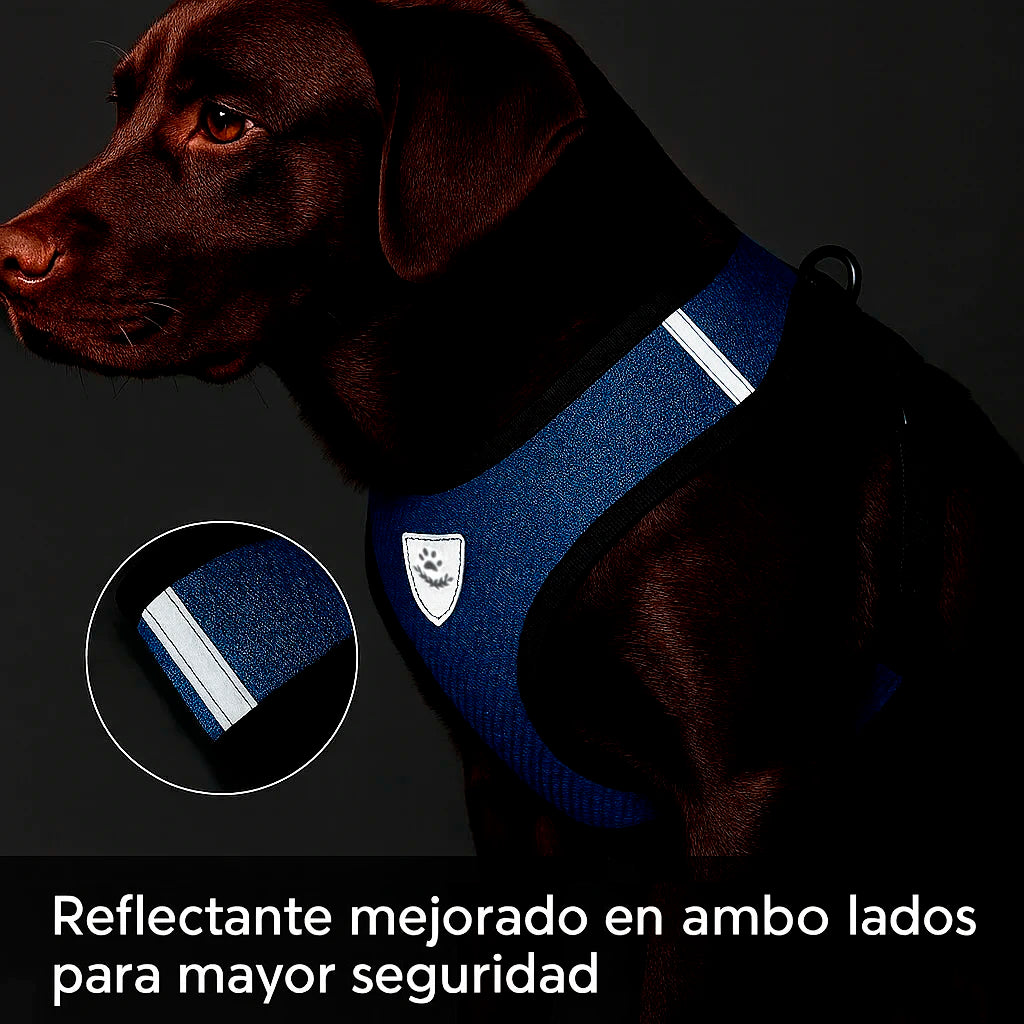 Arnés y Correa Antitirones Transpirable para Perros