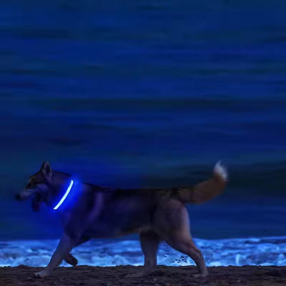 Collar LED para Perros – Más Seguridad en Cada Paseo Nocturno