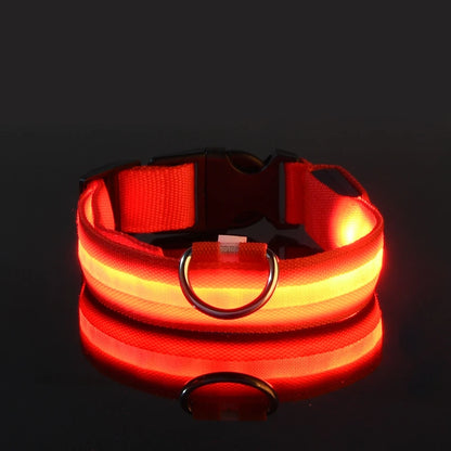Collar LED para Perros – Más Seguridad en Cada Paseo Nocturno