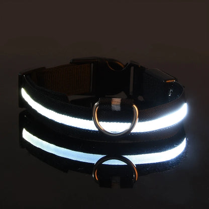 Collar LED para Perros – Más Seguridad en Cada Paseo Nocturno