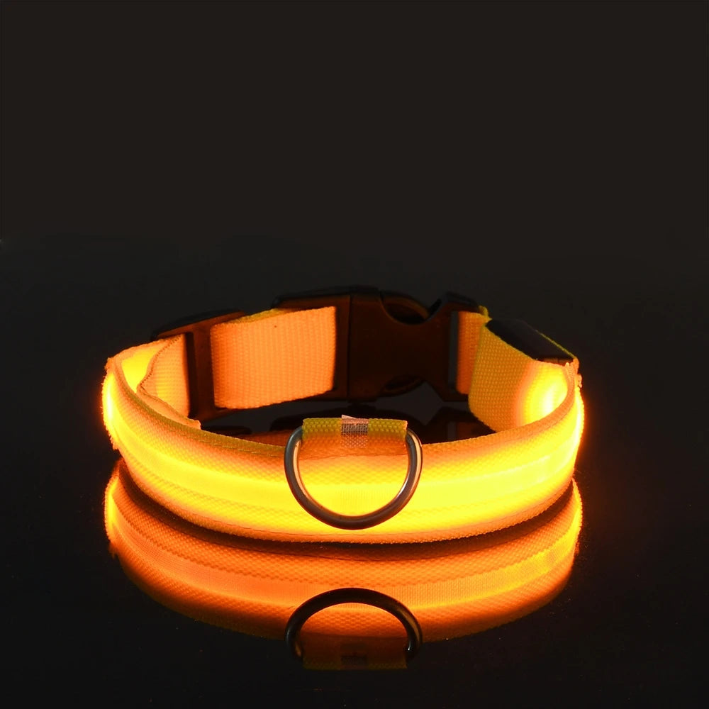Collar LED para Perros – Más Seguridad en Cada Paseo Nocturno