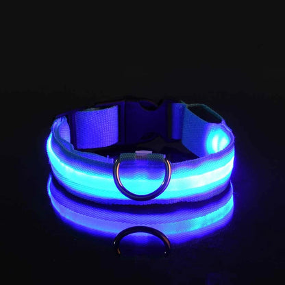 Collar LED para Perros – Más Seguridad en Cada Paseo Nocturno