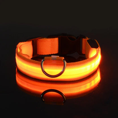 Collar LED para Perros – Más Seguridad en Cada Paseo Nocturno