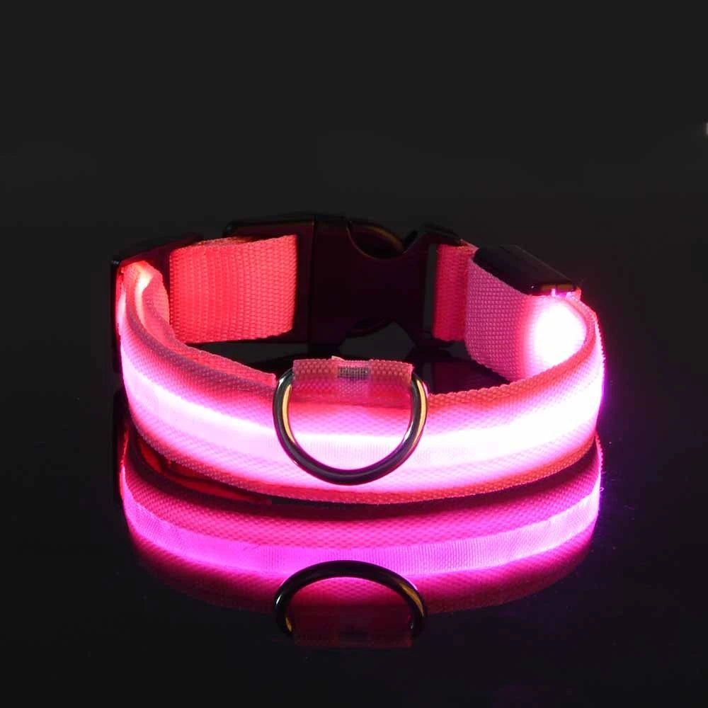 Collar LED para Perros – Más Seguridad en Cada Paseo Nocturno