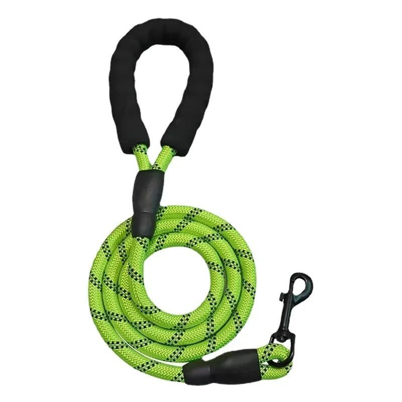 SureStep Leash – Safe Walks