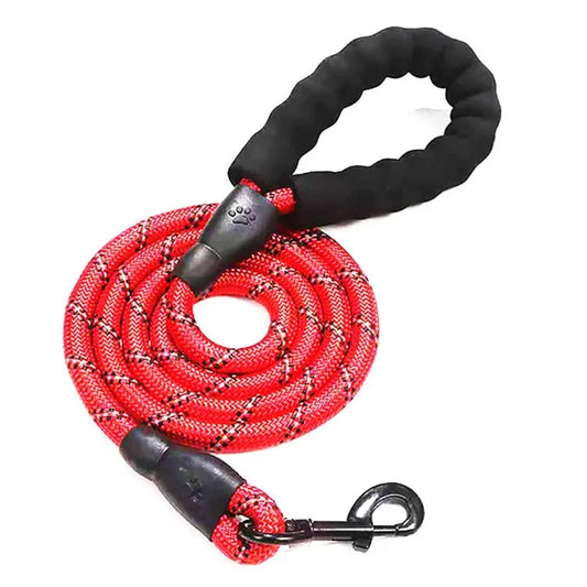 SureStep Leash – Safe Walks