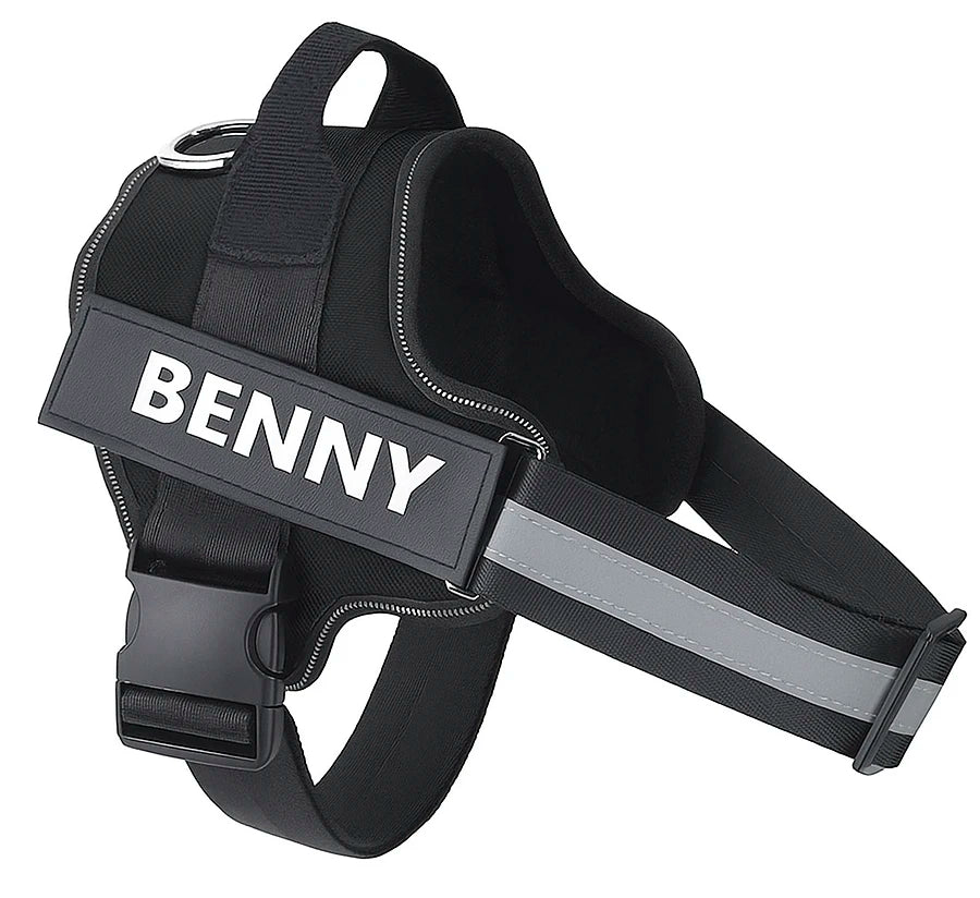 SafeWalk Harness: No-Pull Control & Confort