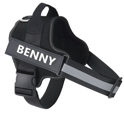 SafeWalk Harness: No-Pull Control & Confort