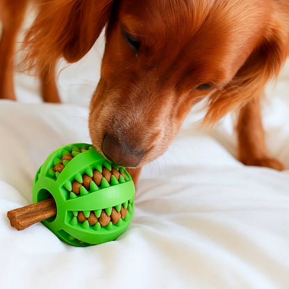 CleanChew Ball: Teeth Protector Toy