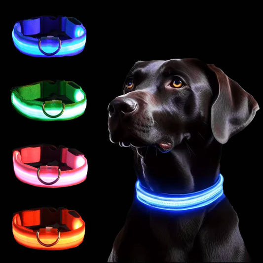 Collar LED para Perros – Más Seguridad en Cada Paseo Nocturno
