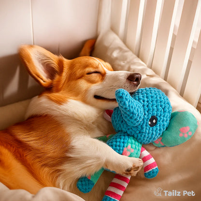 BiteBoo: First Snuggle Buddy