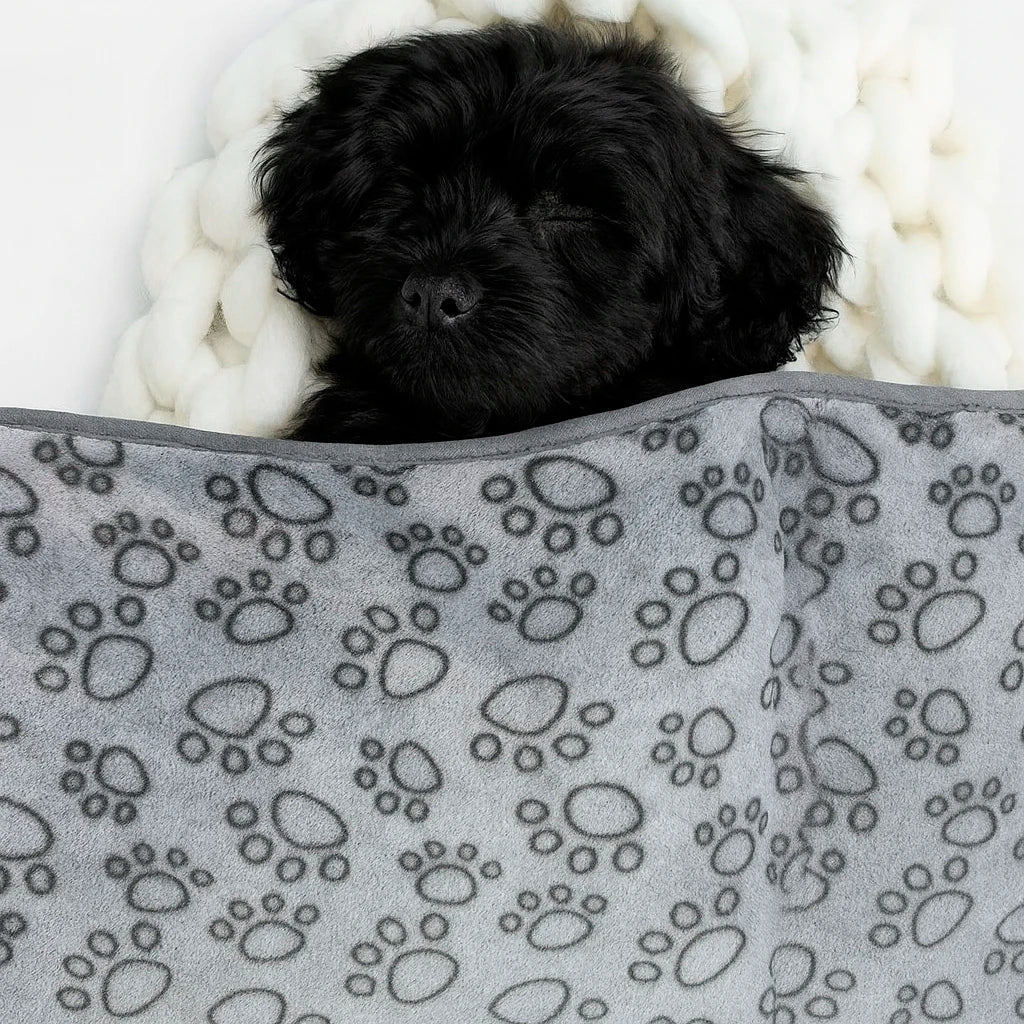 CozyPaw Blanket