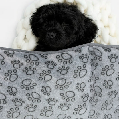 CozyPaw Blanket
