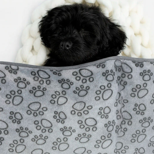 CozyPaw Blanket