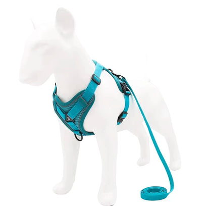 TrustFit Harness and Leash: No-Pull & Confort