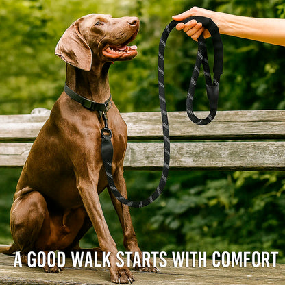SureStep Leash – Safe Walks
