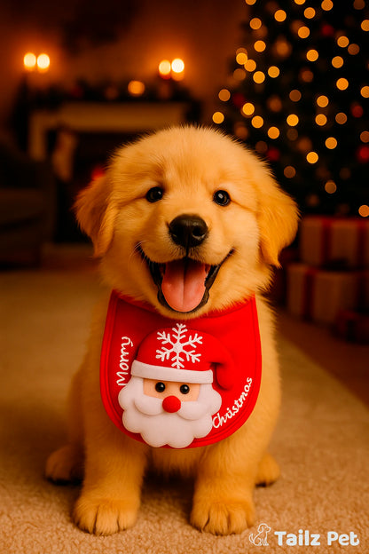 Bandana MerryTail  – Festive Comfort & Joy