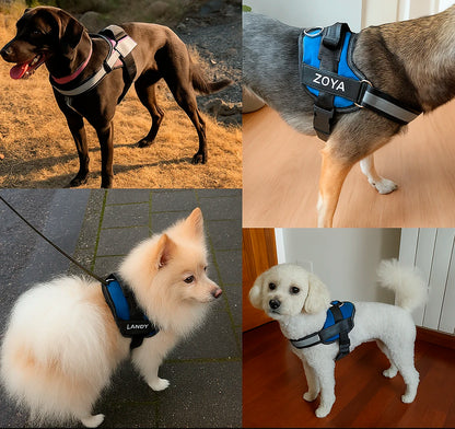 SafeWalk Harness: No-Pull Control & Confort