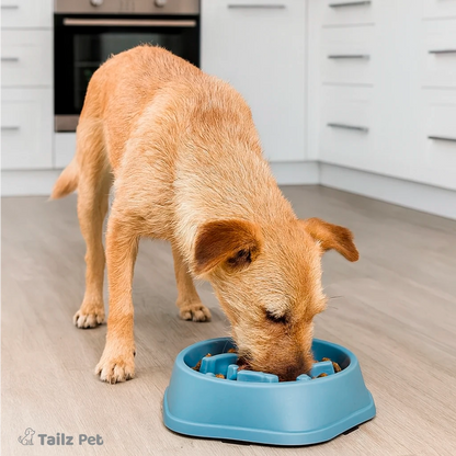 CalmMeal Bowl: Slow Eating & Healthy Digestion