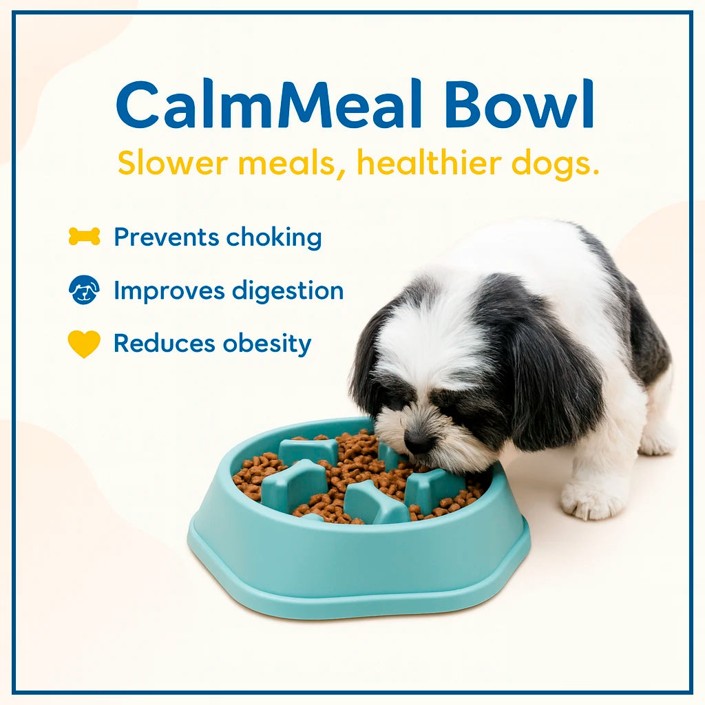 CalmMeal Bowl: Slow Eating & Healthy Digestion