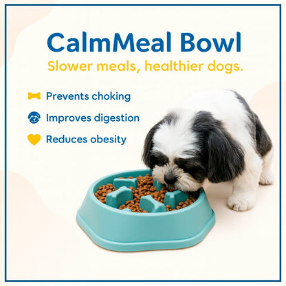 CalmMeal Bowl: Slow Eating & Healthy Digestion