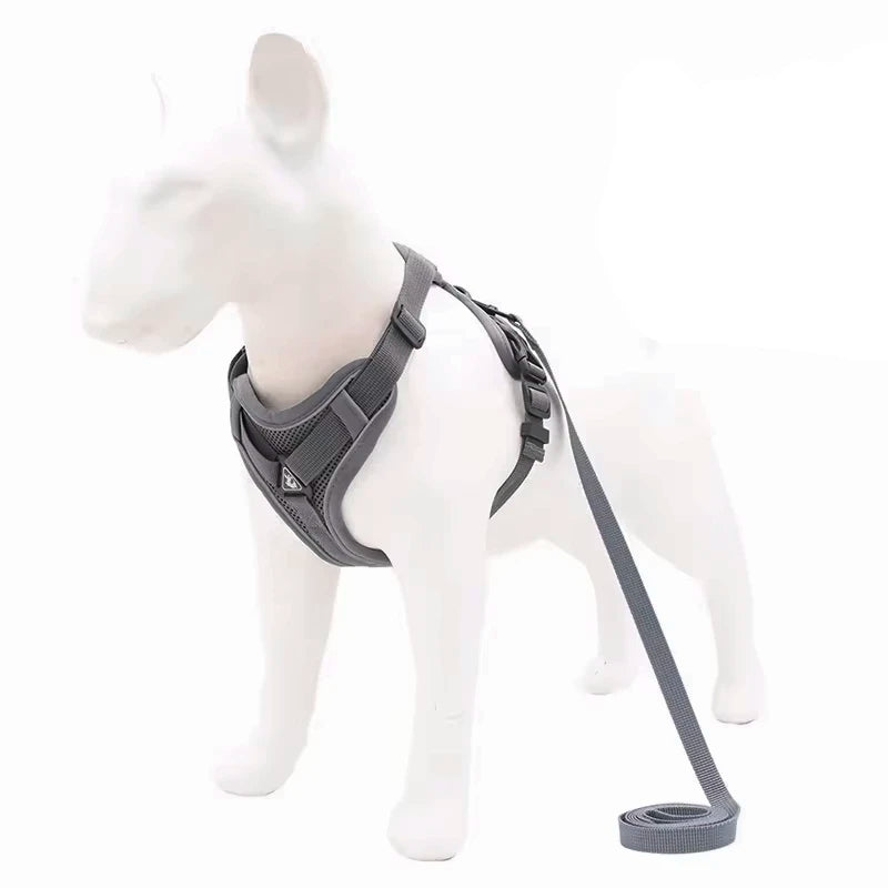 TrustFit Harness and Leash: No-Pull & Confort