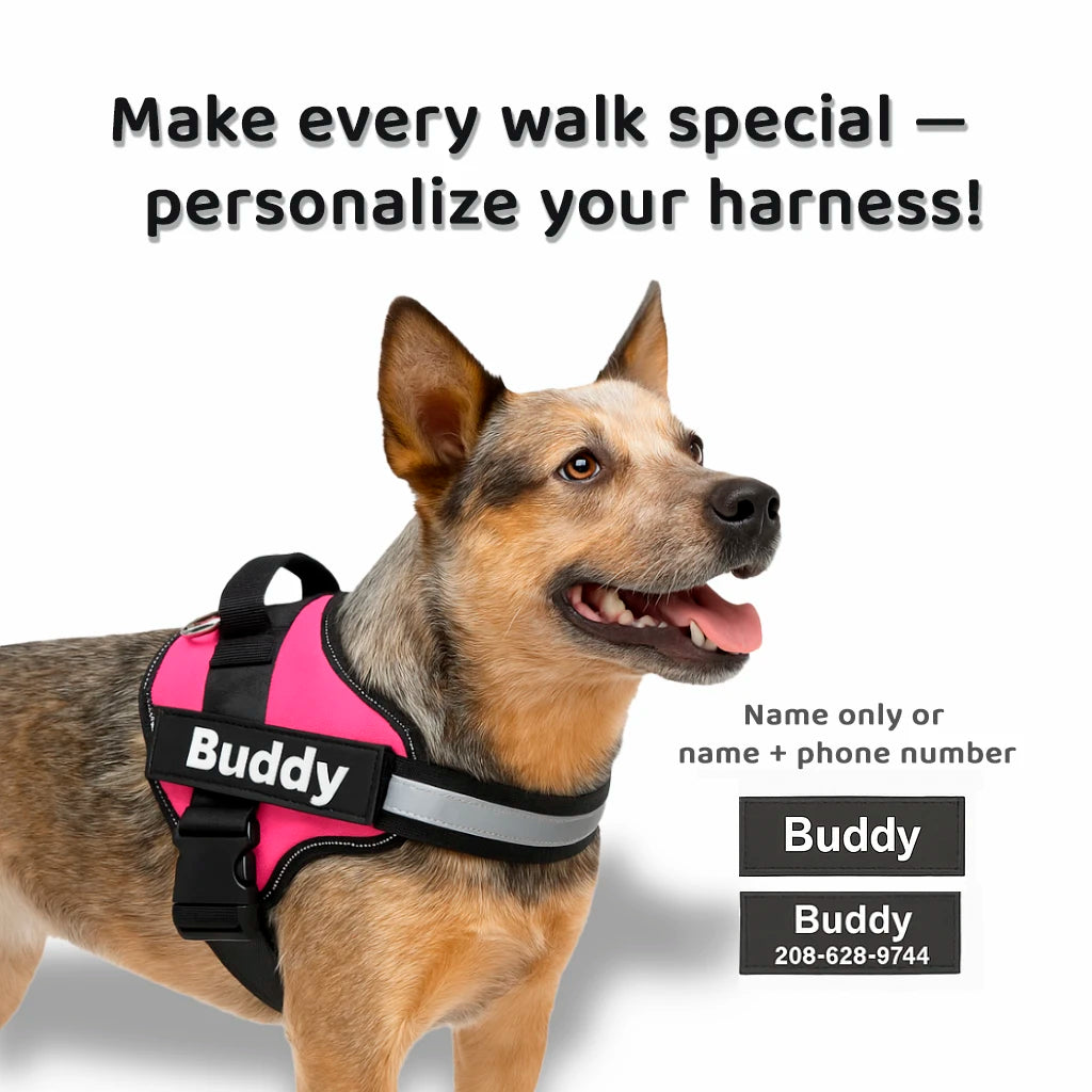 SafeWalk Harness: No-Pull Control & Confort