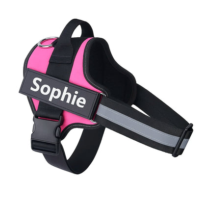 SafeWalk Harness: No-Pull Control & Confort