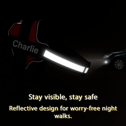 SafeWalk Harness: No-Pull Control & Confort