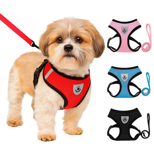 Arnés y Correa Antitirones Transpirable para Perros