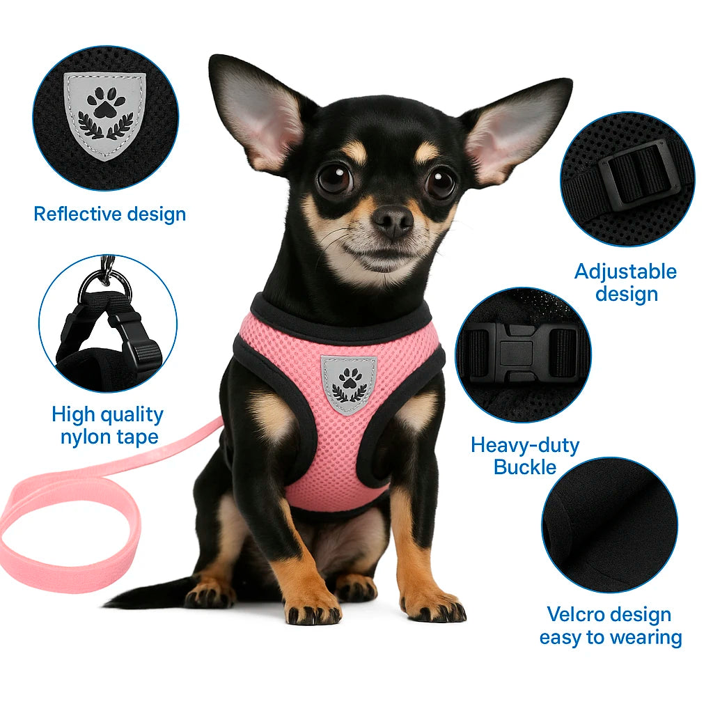 Arnés y Correa Antitirones Transpirable para Perros