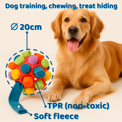 EnrichBall – Smart Play & Mental Stimulation